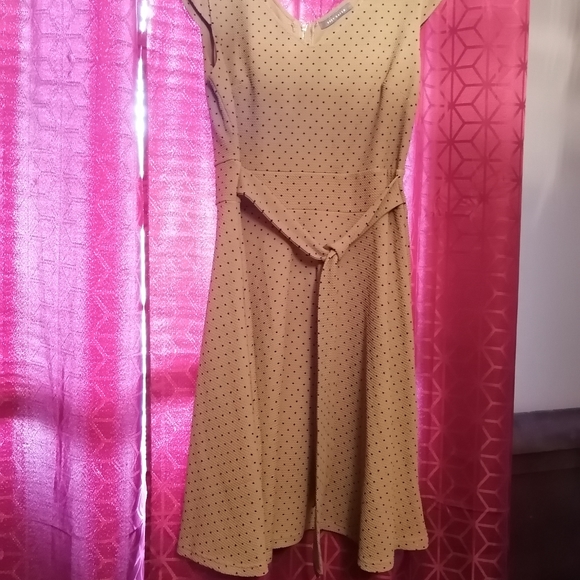 Bundle of 3 Suzy Shier dresses - Picture 7 of 14